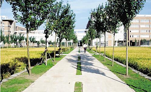南充廣播電視大學(xué)南部縣分?！鸽姶蟆?></a></div>
          <dl>
              <dt><a href=