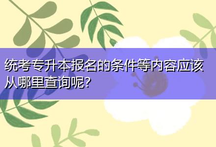 統(tǒng)考專升本報(bào)名的條件等內(nèi)容應(yīng)該從哪里查詢呢？