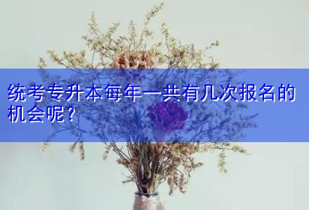 統(tǒng)考專升本每年一共有幾次報名的機會呢？