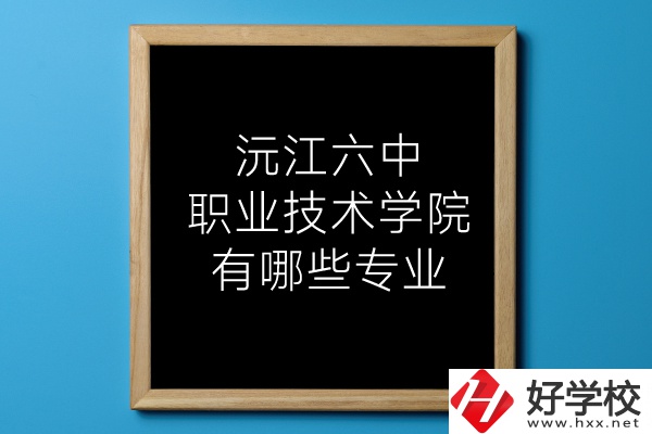 湖南沅江六中職業(yè)技術(shù)學(xué)院有哪些專(zhuān)業(yè)？
