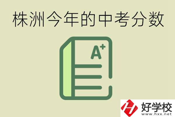 株洲今年中考多少分能上高中？沒考上有什么選擇？