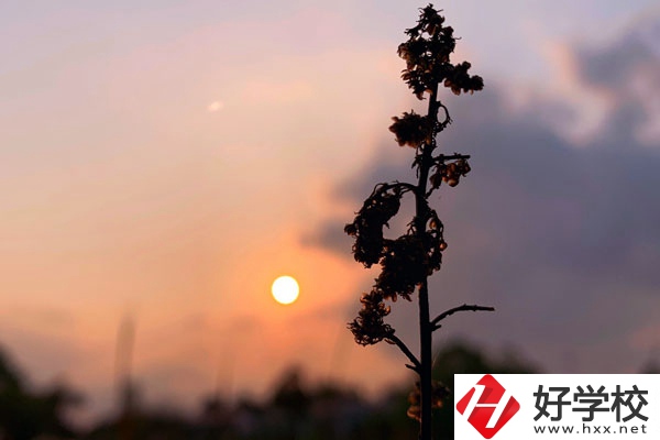 邵陽哈博職業(yè)中專學校好不好？有什么辦學特色？