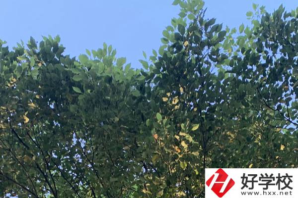 邵陽(yáng)職業(yè)技術(shù)學(xué)校就業(yè)好不好？值得報(bào)考嗎？