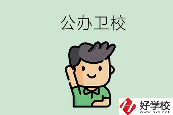 湖南的公辦衛(wèi)校有哪些？這兩所學(xué)校值得推薦！