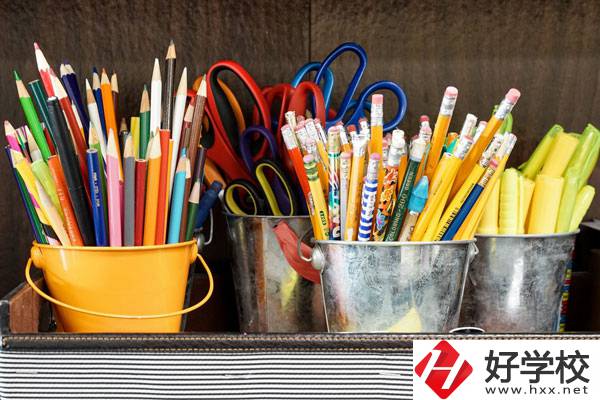 在懷化有什么職校可以學(xué)習(xí)幼師？好不好？