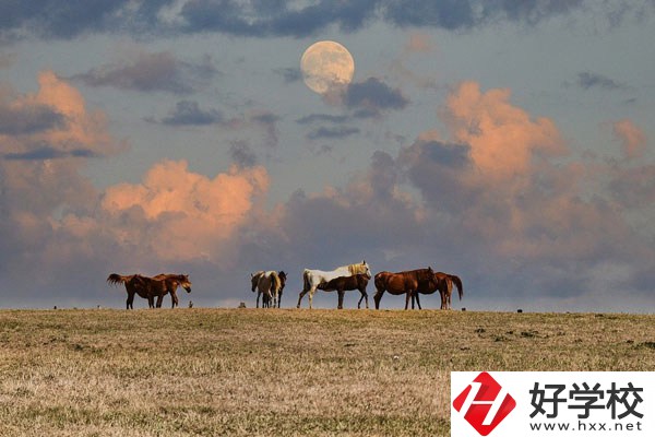 邵陽(yáng)工業(yè)學(xué)校是公辦還是民辦？有什么優(yōu)勢(shì)？