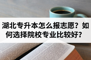 湖北省專升本怎么報志愿？如何選擇填報院校專業(yè)比較好？