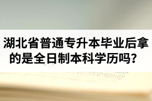 湖北省普通專升本畢業(yè)后拿的是全日制本科學(xué)歷嗎？