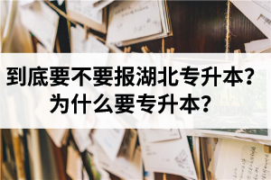 到底要不要報湖北專升本？為什么要專升本？