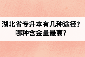 湖北省專(zhuān)升本有幾種途徑？哪種含金量最高？