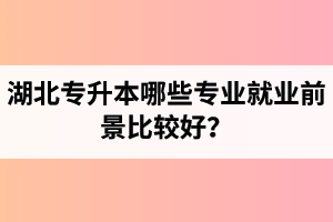 湖北專升本哪些專業(yè)就業(yè)前景比較好？