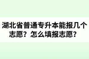湖北省普通專升本能報幾個志愿？怎么填報志愿？