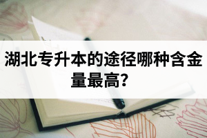 湖北普通專升本英譯漢段落翻譯分析應(yīng)該怎么做？