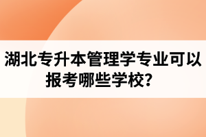 湖北專升本管理學(xué)專業(yè)可以報(bào)考哪些學(xué)校？屬于管理學(xué)的專業(yè)有哪些？