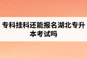 專科掛科還能報(bào)名湖北專升本考試嗎？在哪里能獲取最新的專升本資訊？