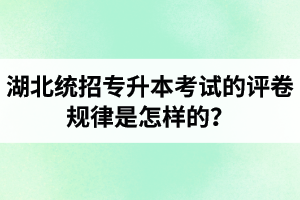 湖北統(tǒng)招專升本考試的評(píng)卷規(guī)律是怎樣的？怎么避免丟失細(xì)節(jié)分？