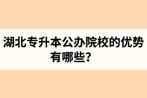 湖北專升本公辦院校的優(yōu)勢有哪些？為什么大家都想報公辦學(xué)校？