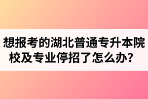 想報考的湖北普通專升本院校及專業(yè)停招了怎么辦？