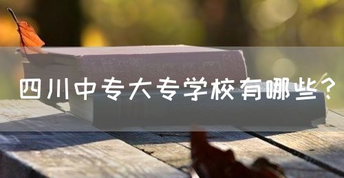 四川中專大專學(xué)校有哪些？(圖1)