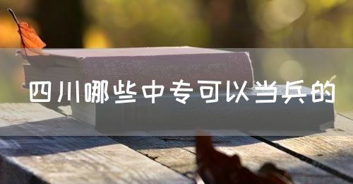 四川哪些中?？梢援?dāng)兵的(圖1)