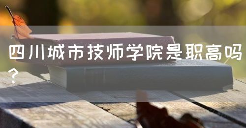 四川城市技師學(xué)院是職高嗎？(圖1)