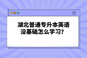 湖北普通專升本英語沒基礎(chǔ)怎么學(xué)習(xí)？