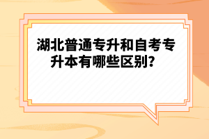 湖北普通專升和自考專升本有哪些區(qū)別？