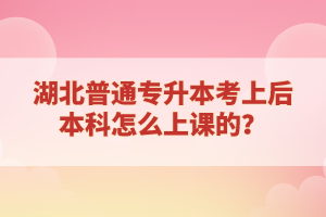 湖北普通專升本考上后本科怎么上課的？