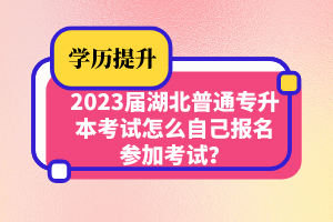 2023屆湖北普通專升本考試怎么自己報(bào)名參加考試？