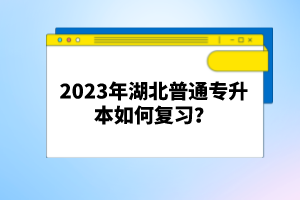 2023年湖北普通專升本如何復習？