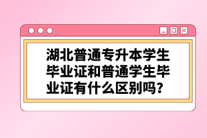 湖北普通專升本學生畢業(yè)證和普通學生畢業(yè)證有什么區(qū)別嗎？