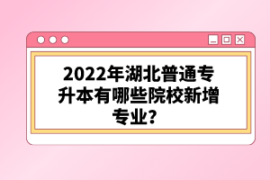 2022年湖北普通專升本有哪些院校新增專業(yè)？