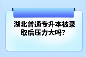 湖北普通專升本被錄取后壓力大嗎？