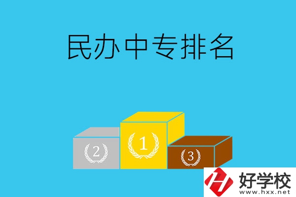 郴州排名前五的民辦中專是哪些？