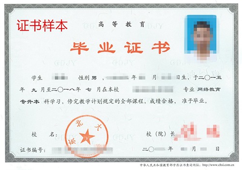 網絡教育專升本需要什么條件