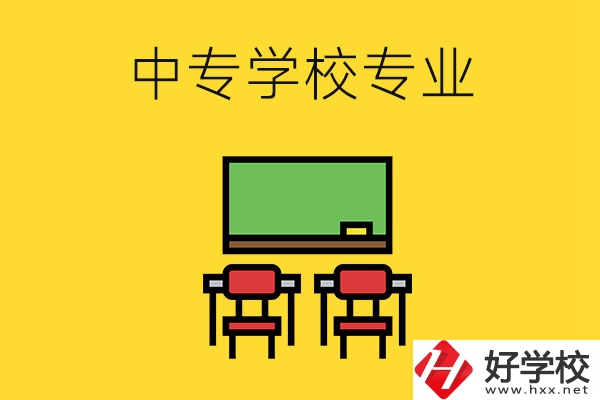 湖南的中專學校有哪些專業(yè)好就業(yè)？