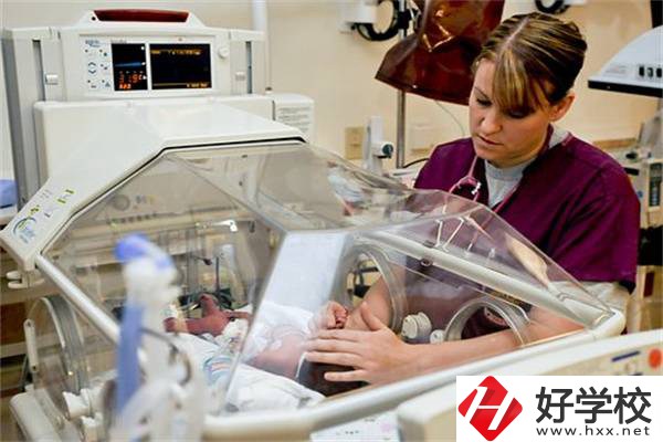 湖南中職學(xué)校開設(shè)最多的專業(yè)有哪些？就業(yè)前景怎么樣？