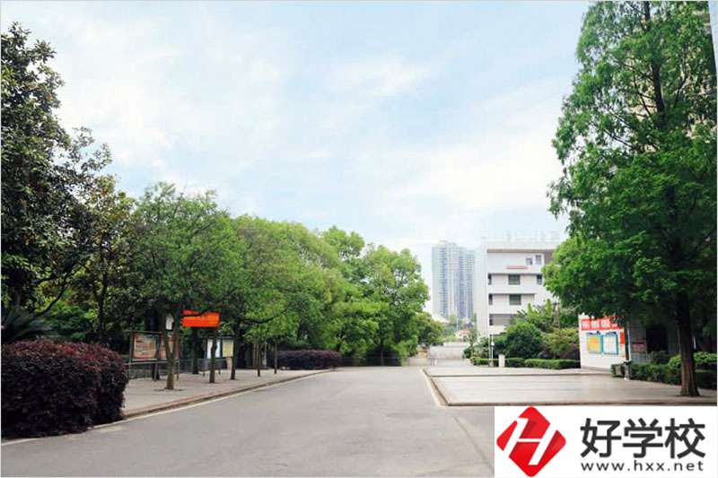 邵陽工業(yè)學校風景
