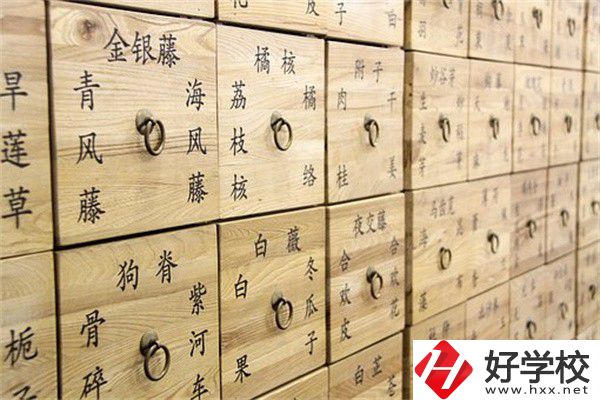 湖南省哪些中職有中藥專業(yè)？