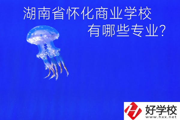 湖南省懷化商業(yè)學(xué)校好不好？有哪些專業(yè)？