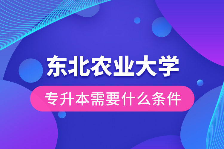 東北農(nóng)業(yè)大學(xué)專升本需要什么條件？