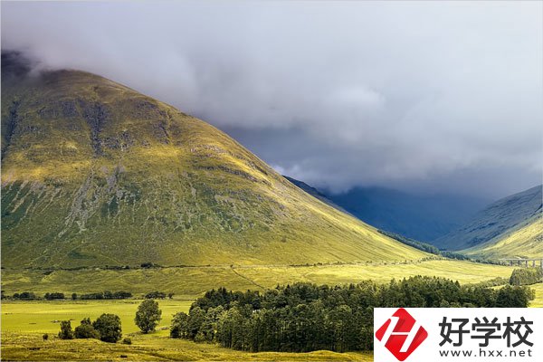 在湖南讀中專，哪些專業(yè)就業(yè)前景比較好？