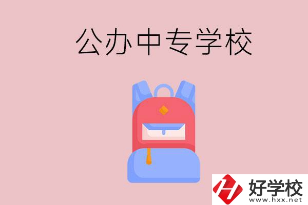 婁底有什么公辦中專學校？教學怎么樣？