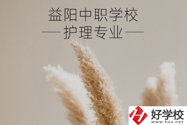 益陽(yáng)護(hù)理專業(yè)的中職學(xué)校有哪些？需要哪些要求？