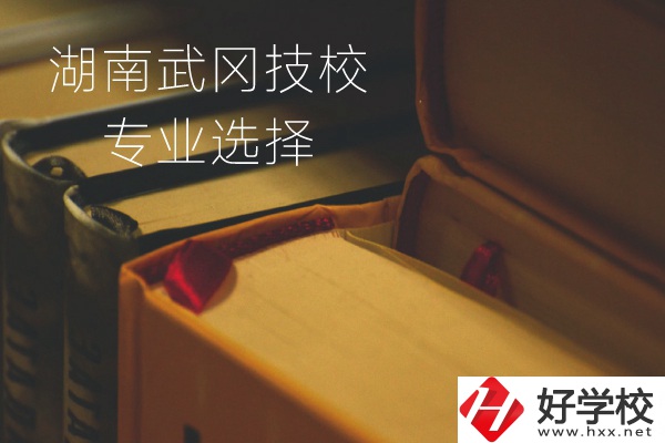 湖南武岡技校怎么樣？有哪些專業(yè)可以選擇？