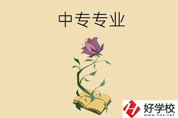 在張家界讀中專，學(xué)什么專業(yè)比較好？