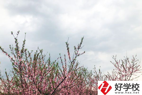 想在邵陽(yáng)讀中專(zhuān)，有哪些學(xué)校推薦？