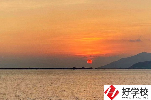 湘西龍山縣誠信職業(yè)技術學校有哪些對口單招專業(yè)？