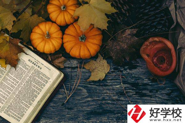 臨湘市職業(yè)中專開設(shè)哪些熱門專業(yè)？有哪些就業(yè)方向？