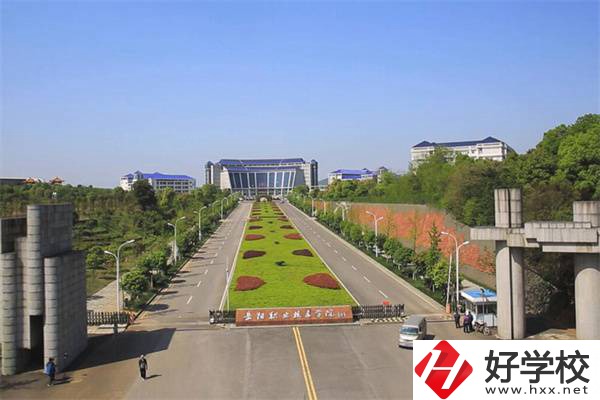 湖南有五年制衛(wèi)校嗎？衛(wèi)校都開設(shè)有哪些醫(yī)衛(wèi)專業(yè)？